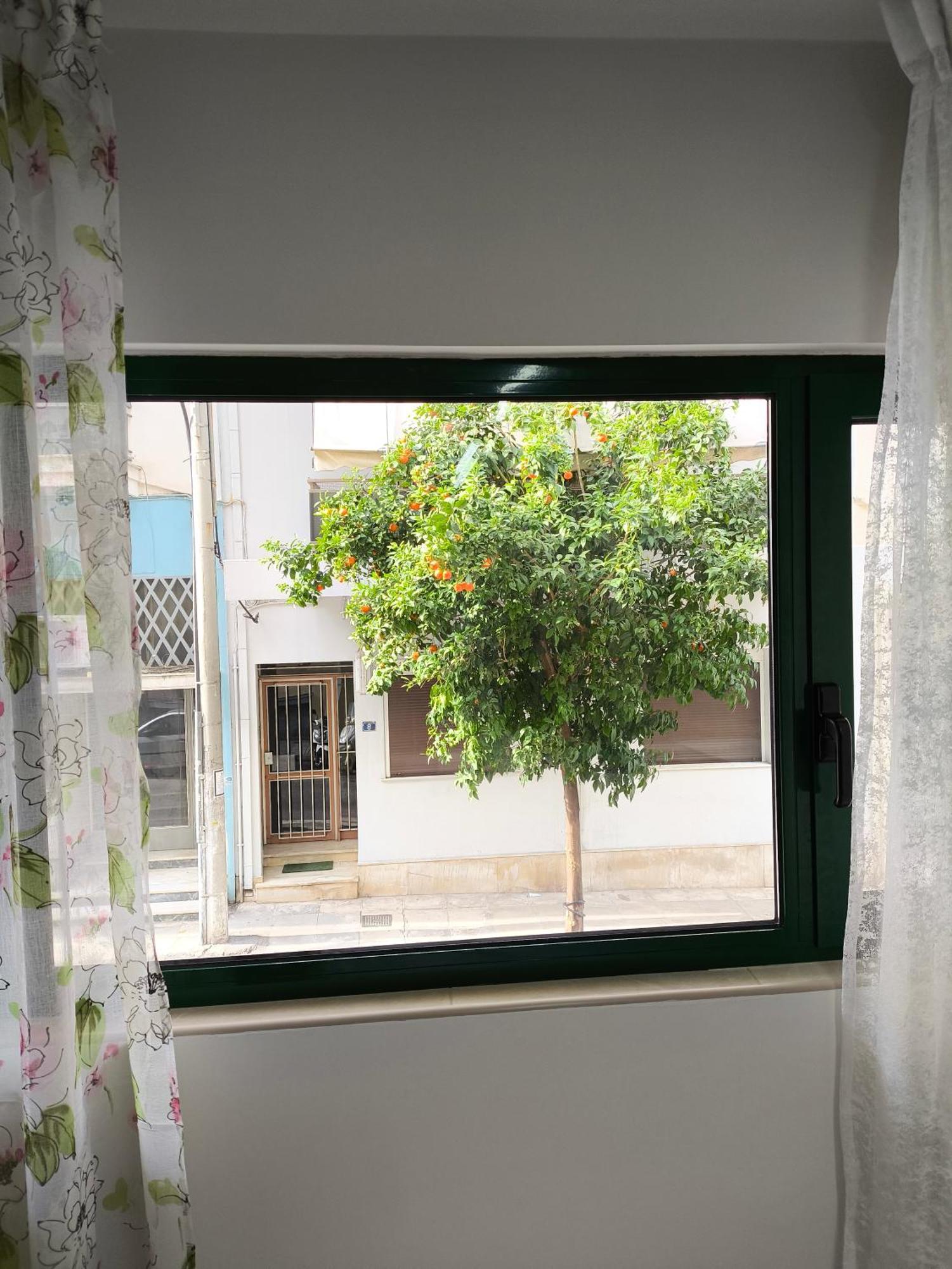 Green Home Athene Buitenkant foto
